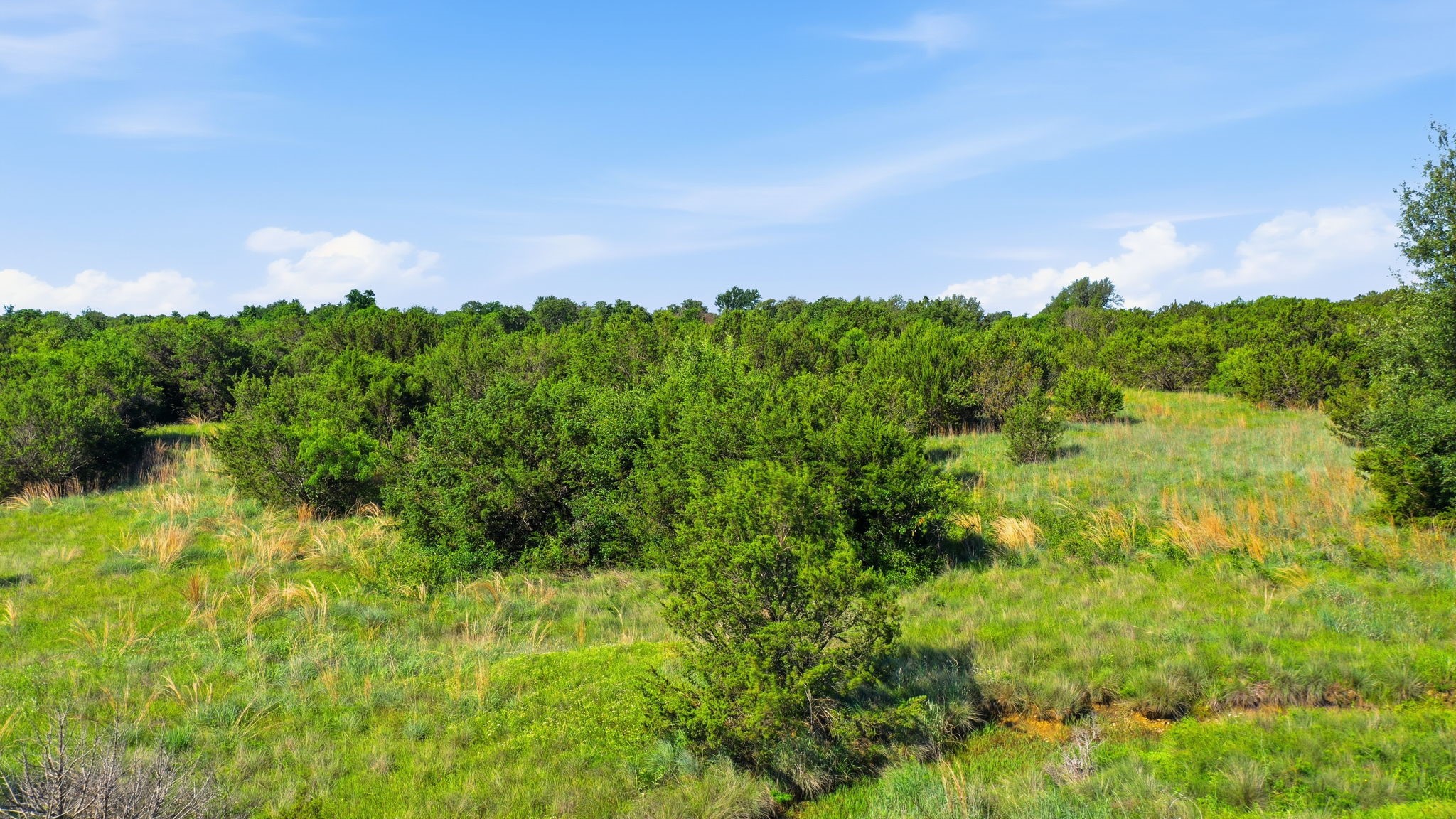 100 Gilmore Court Lipan TX 76462