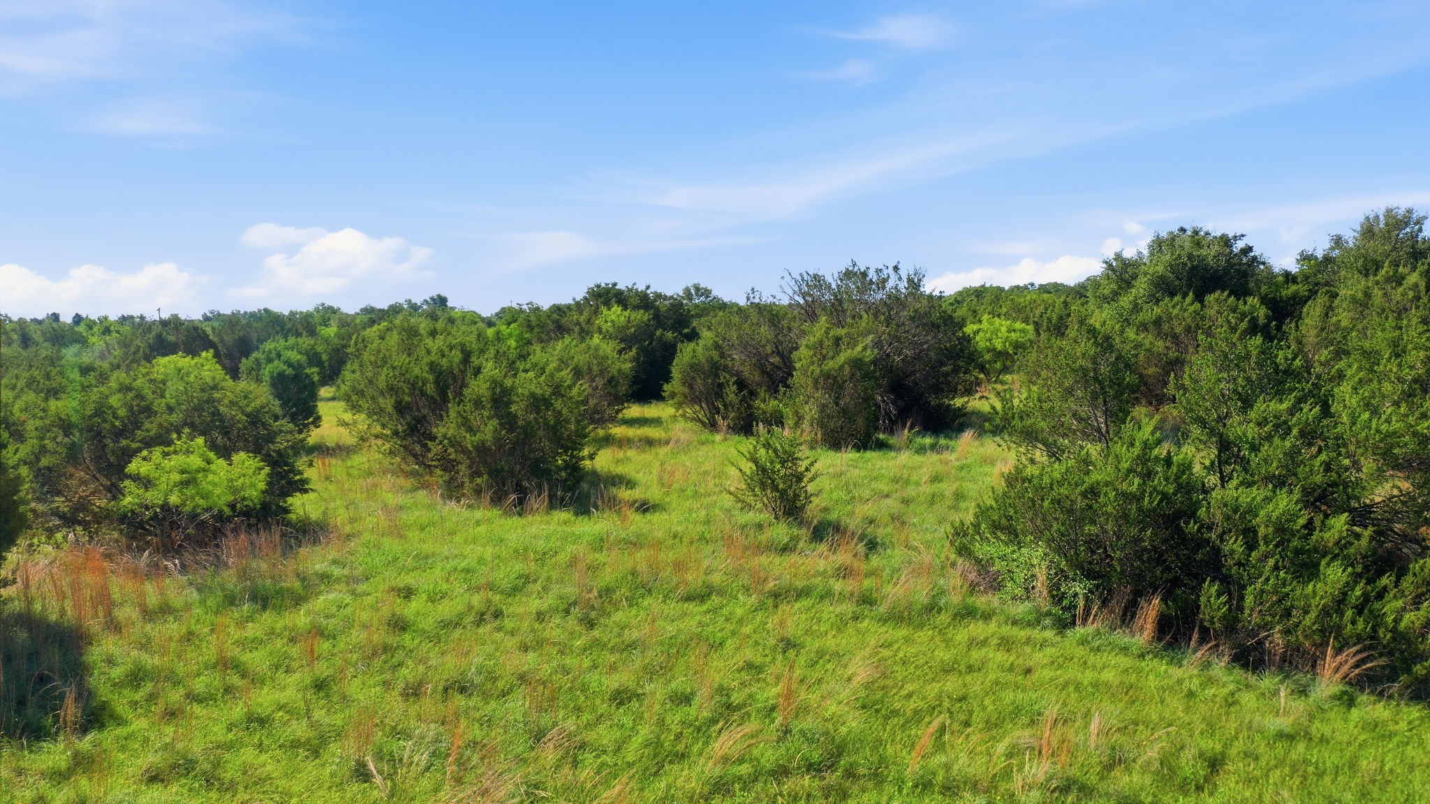 100 Gilmore Court Lipan TX 76462