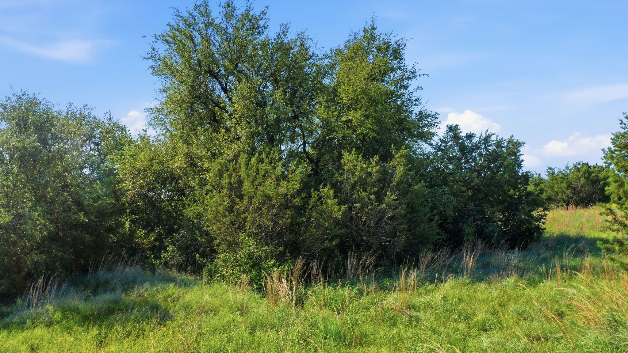 100 Gilmore Court Lipan TX 76462