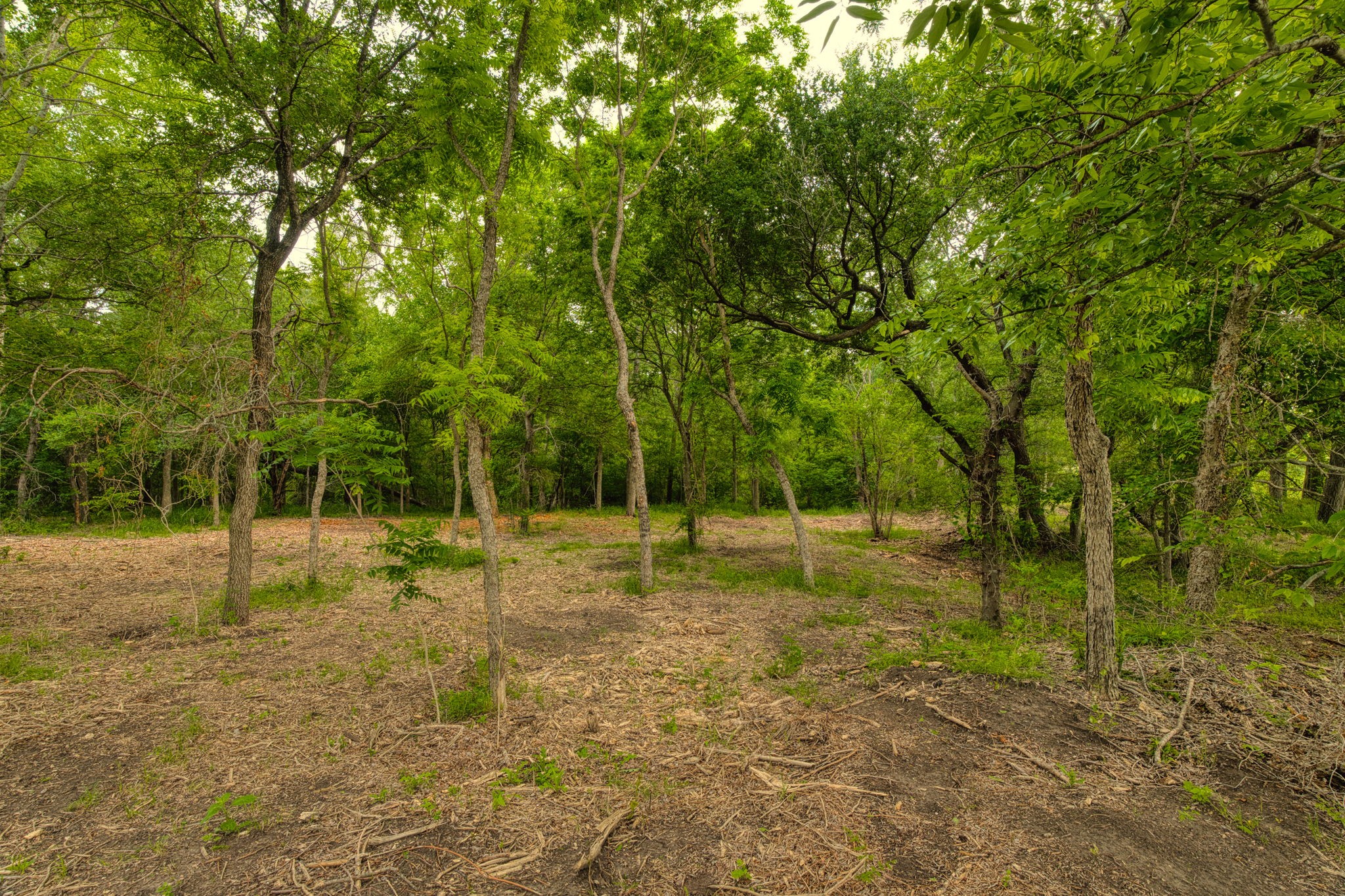 Tract 2 Cr 433 Lorena TX 76655