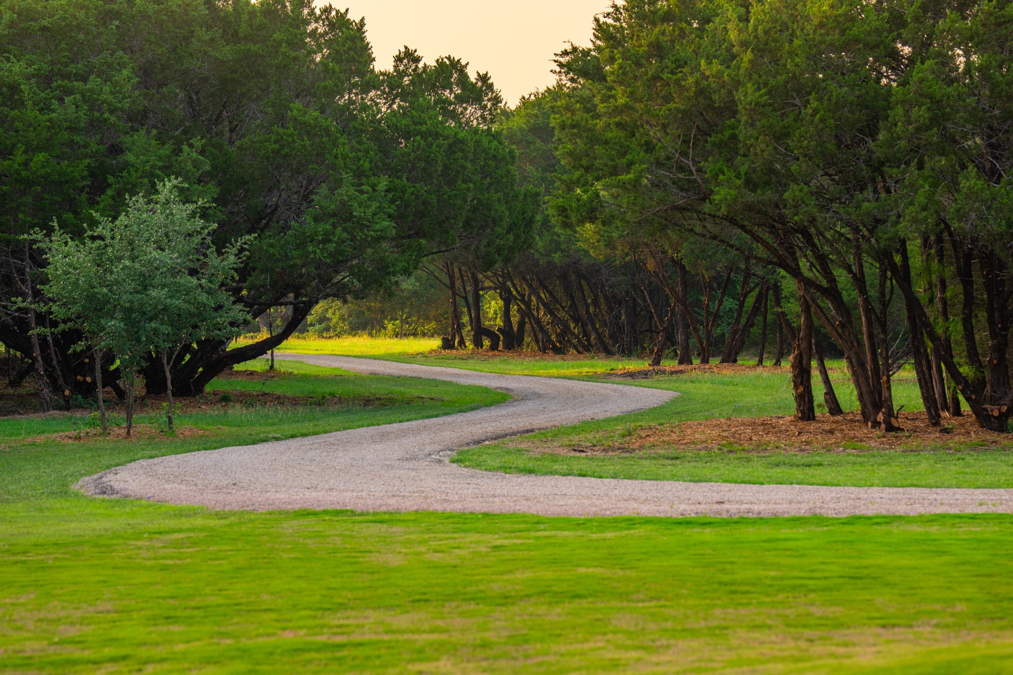 2170 County Road 228 Fairy TX 76457