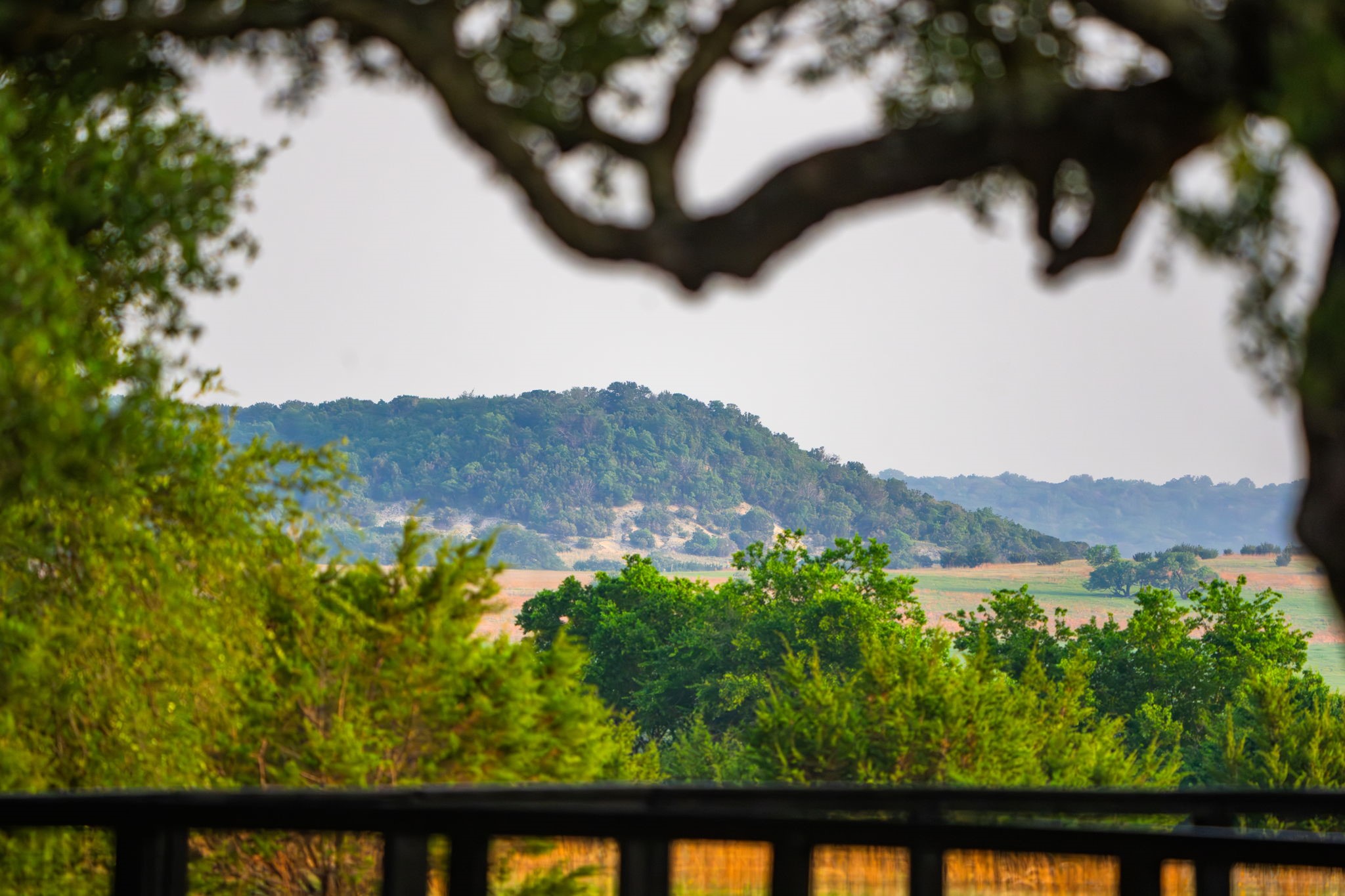 2170 County Road 228 Fairy TX 76457