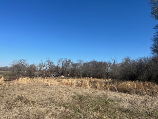 To Be Determined Fm 1652 Grand Saline TX 75140