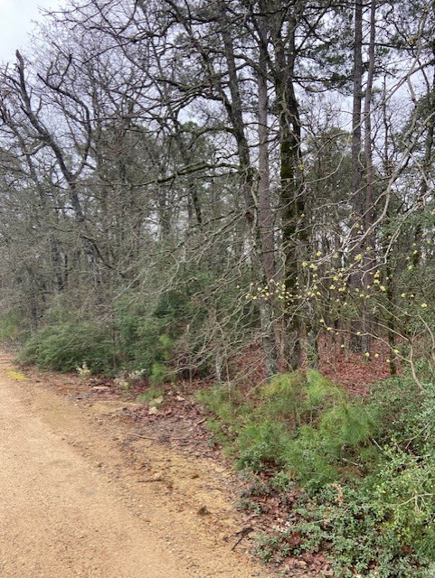 2529 Cr 3540 Hawkins TX 75765