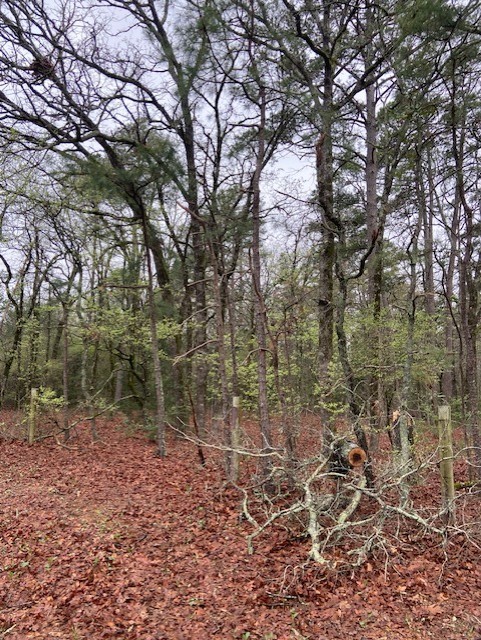 2529 Cr 3540 Hawkins TX 75765
