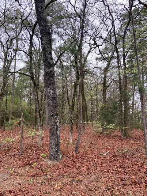 2529 Cr 3540 Hawkins TX 75765