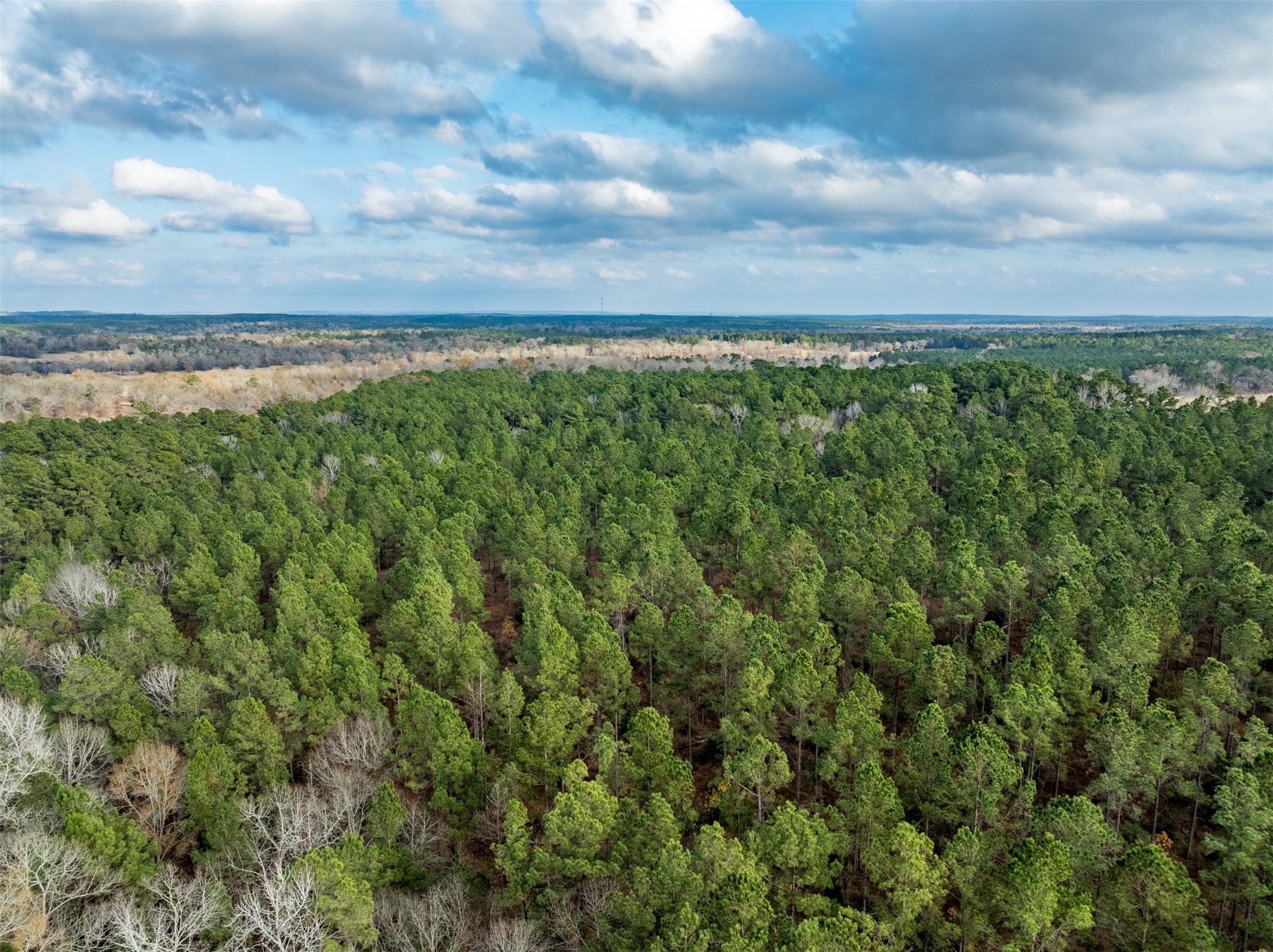 0 State Highway 155 Palestine TX 75803