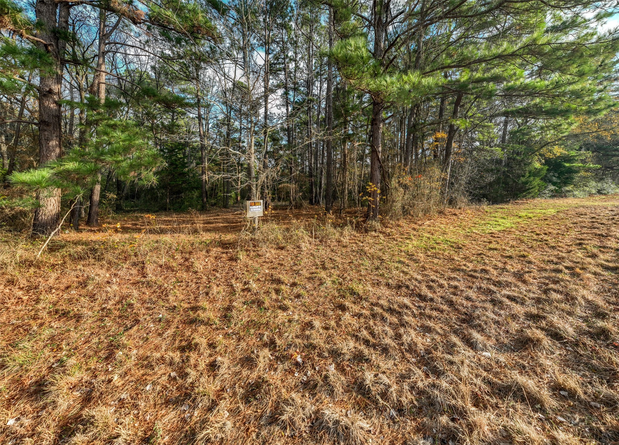 0 State Highway 155 Palestine TX 75803