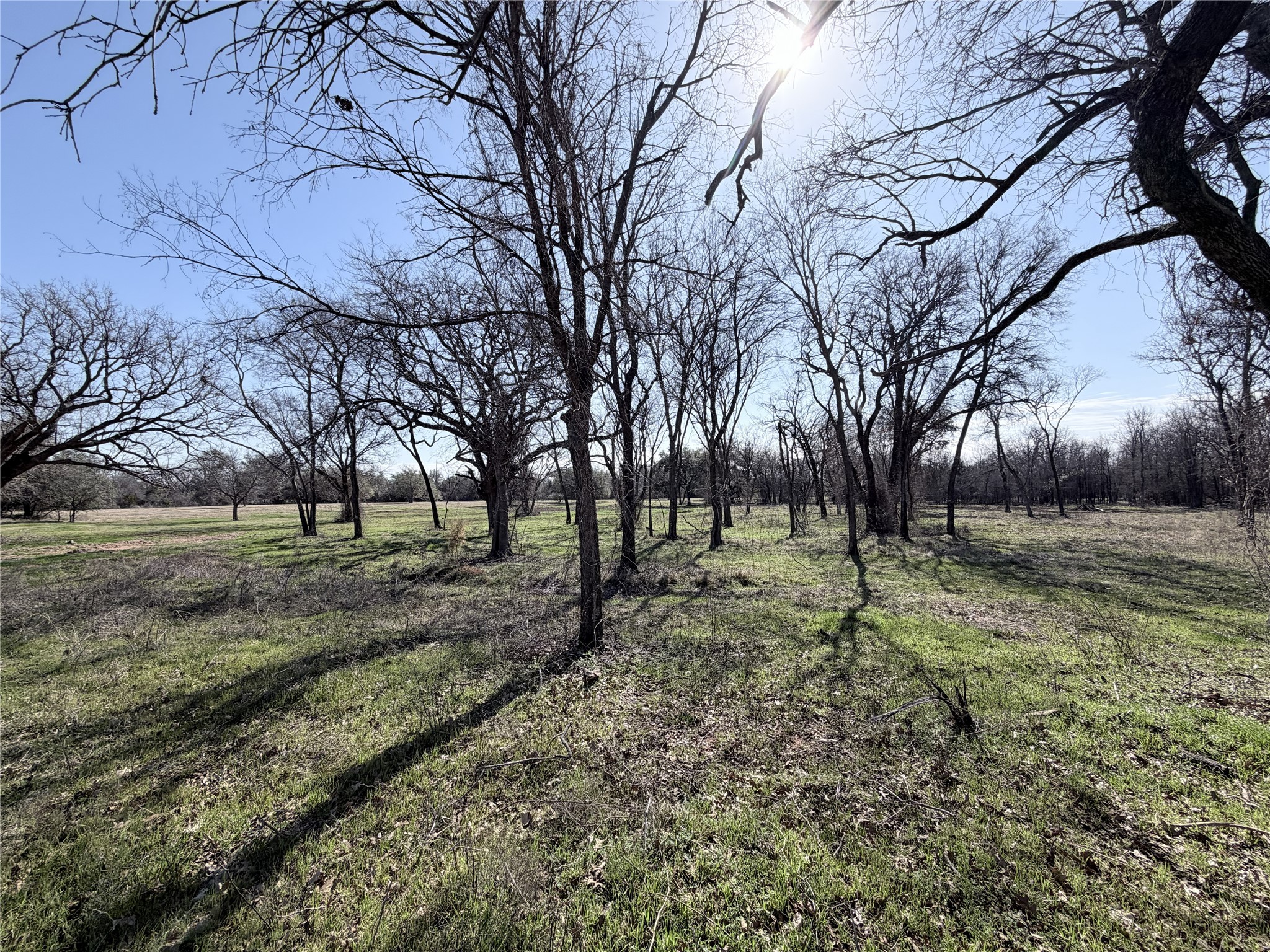 Lot 8 Lakewood Drive Whitney TX 76692