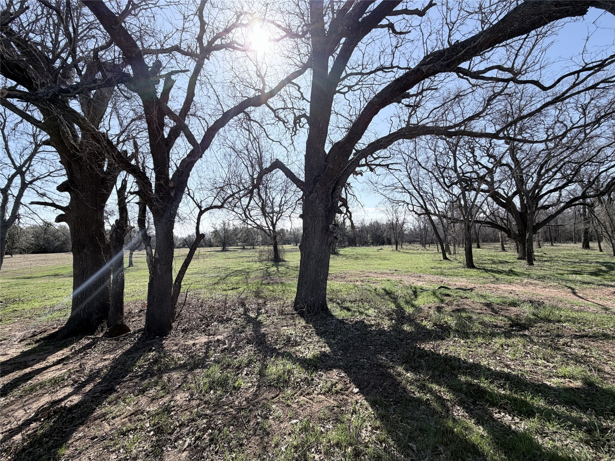 Lot 8 Lakewood Drive Whitney TX 76692