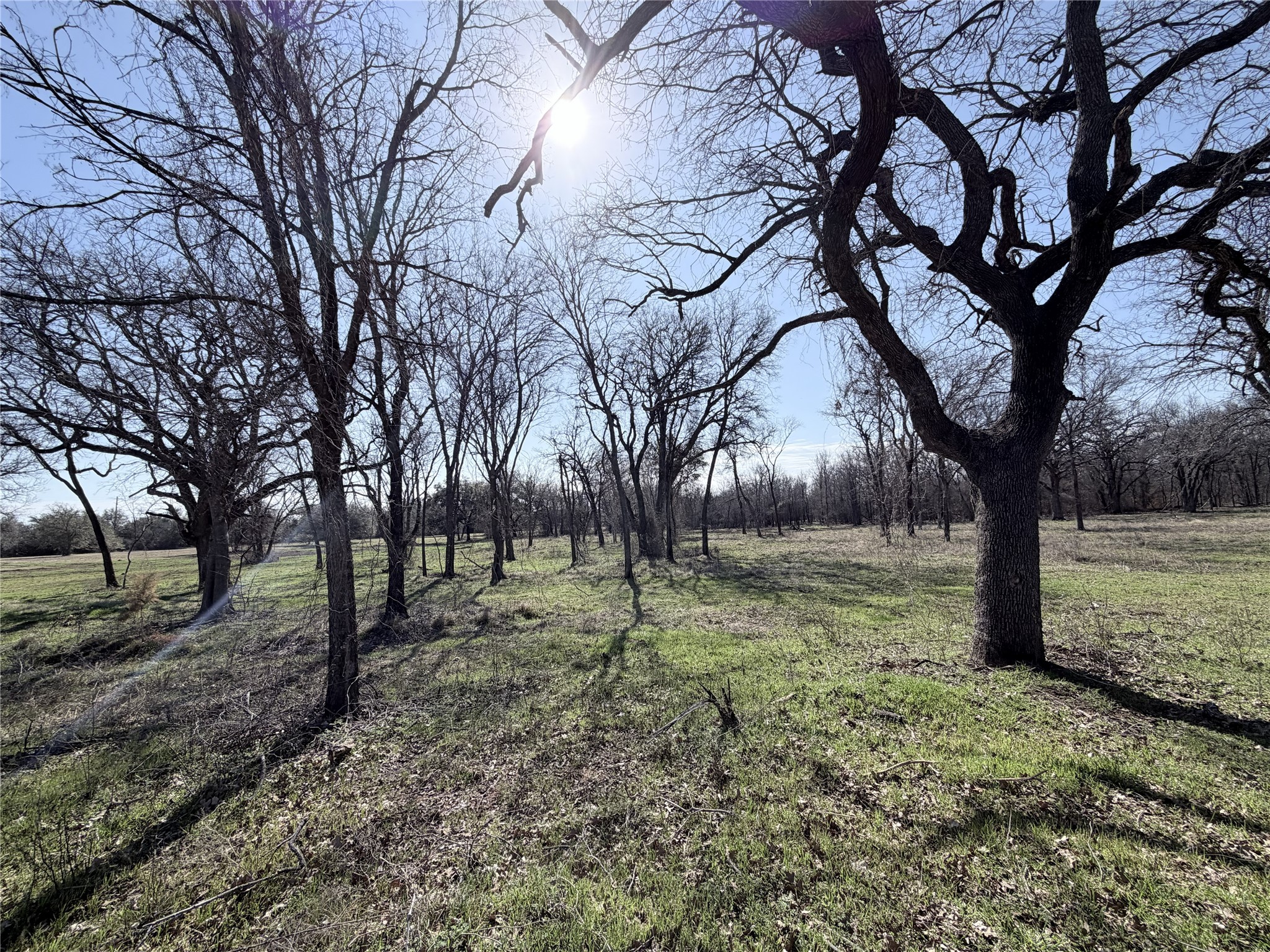 Lot 8 Lakewood Drive Whitney TX 76692