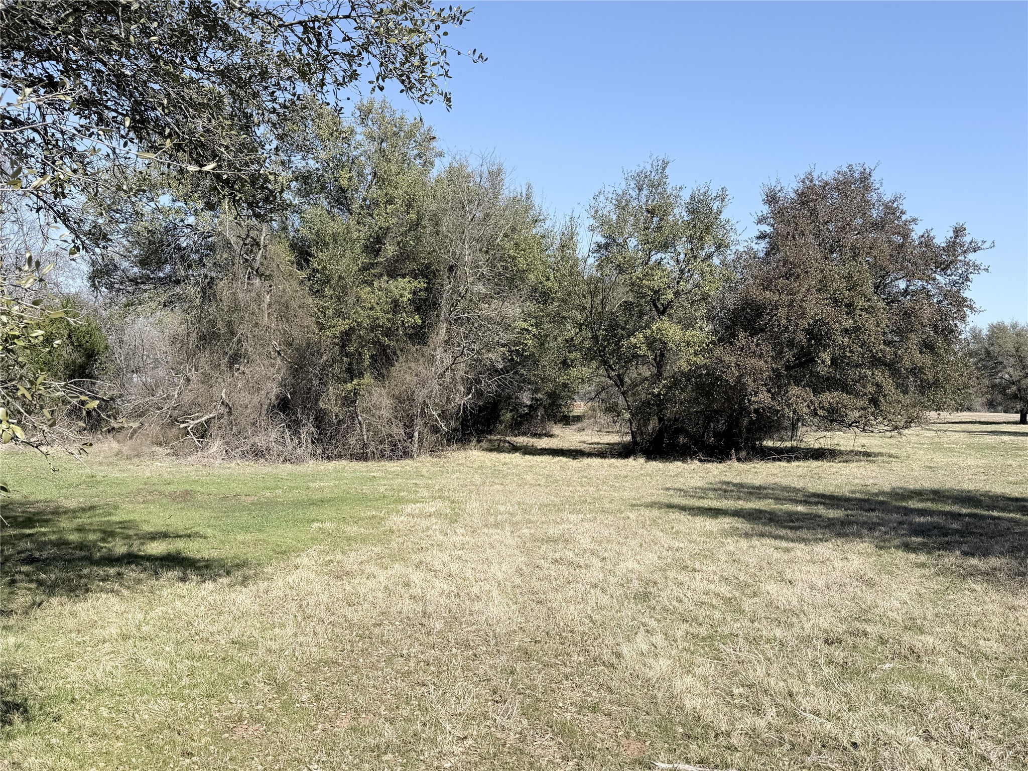 Lot 8 Lakewood Drive Whitney TX 76692