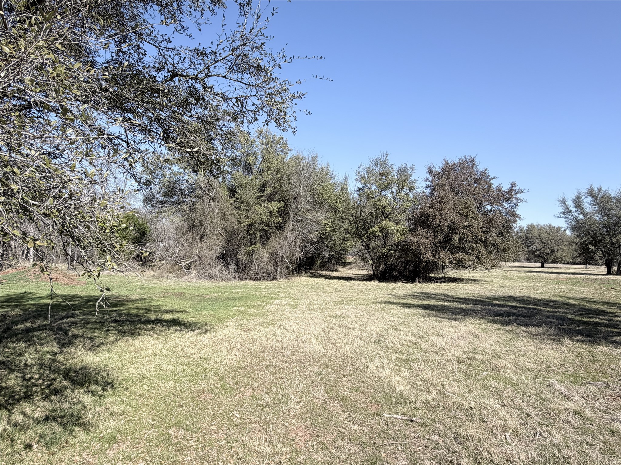 Lot 8 Lakewood Drive Whitney TX 76692