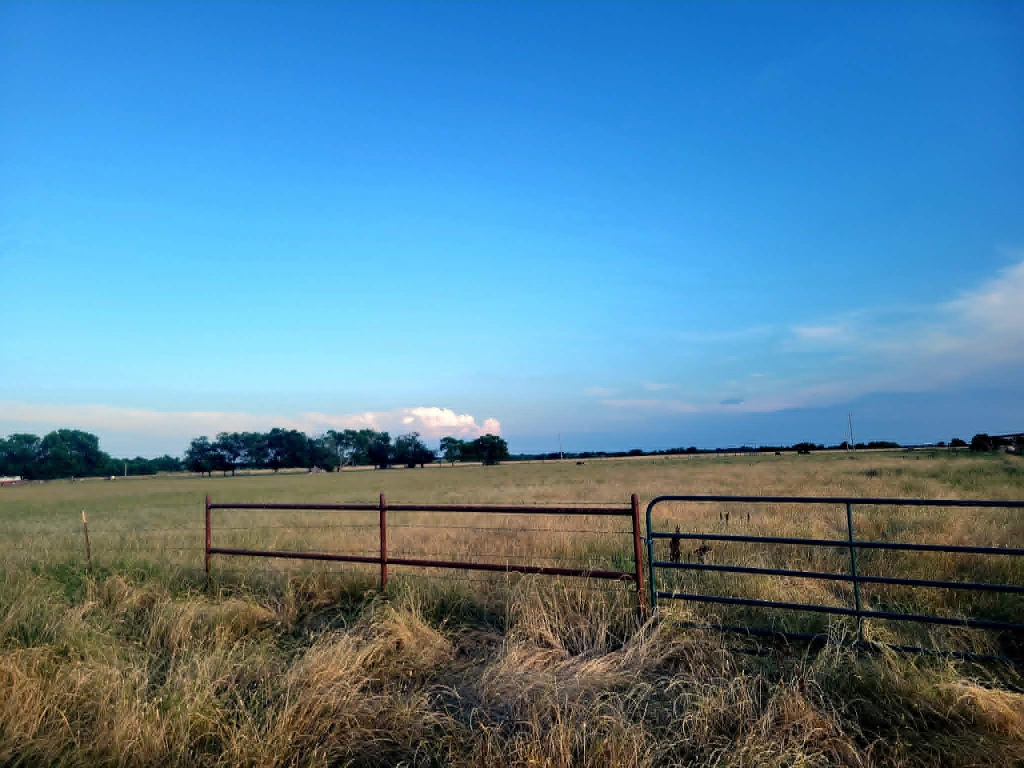 Tbd County Road 4720 Wolfe City TX 75496
