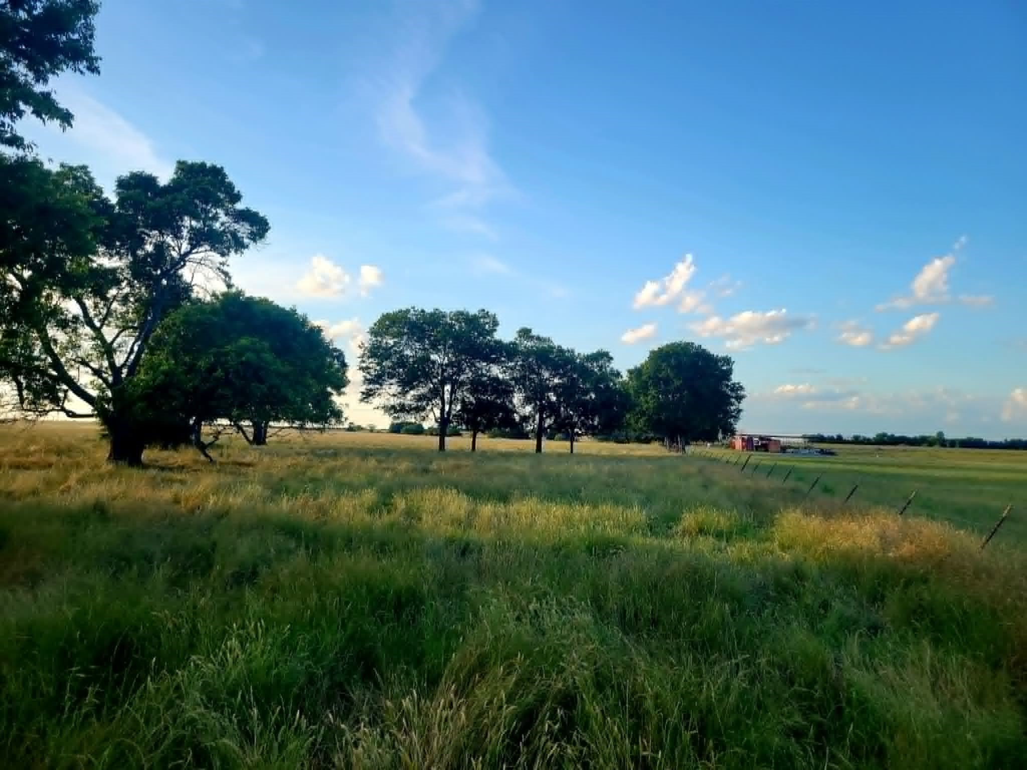 Tbd County Road 4720 Wolfe City TX 75496