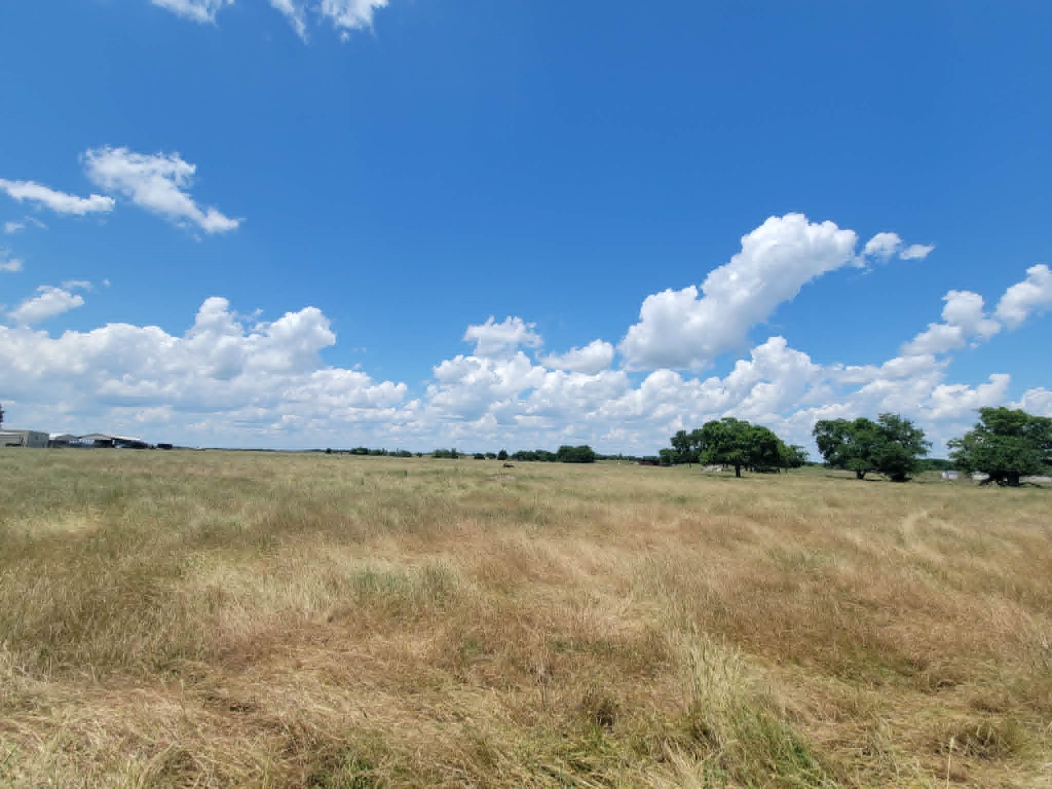 Tbd County Road 4720 Wolfe City TX 75496