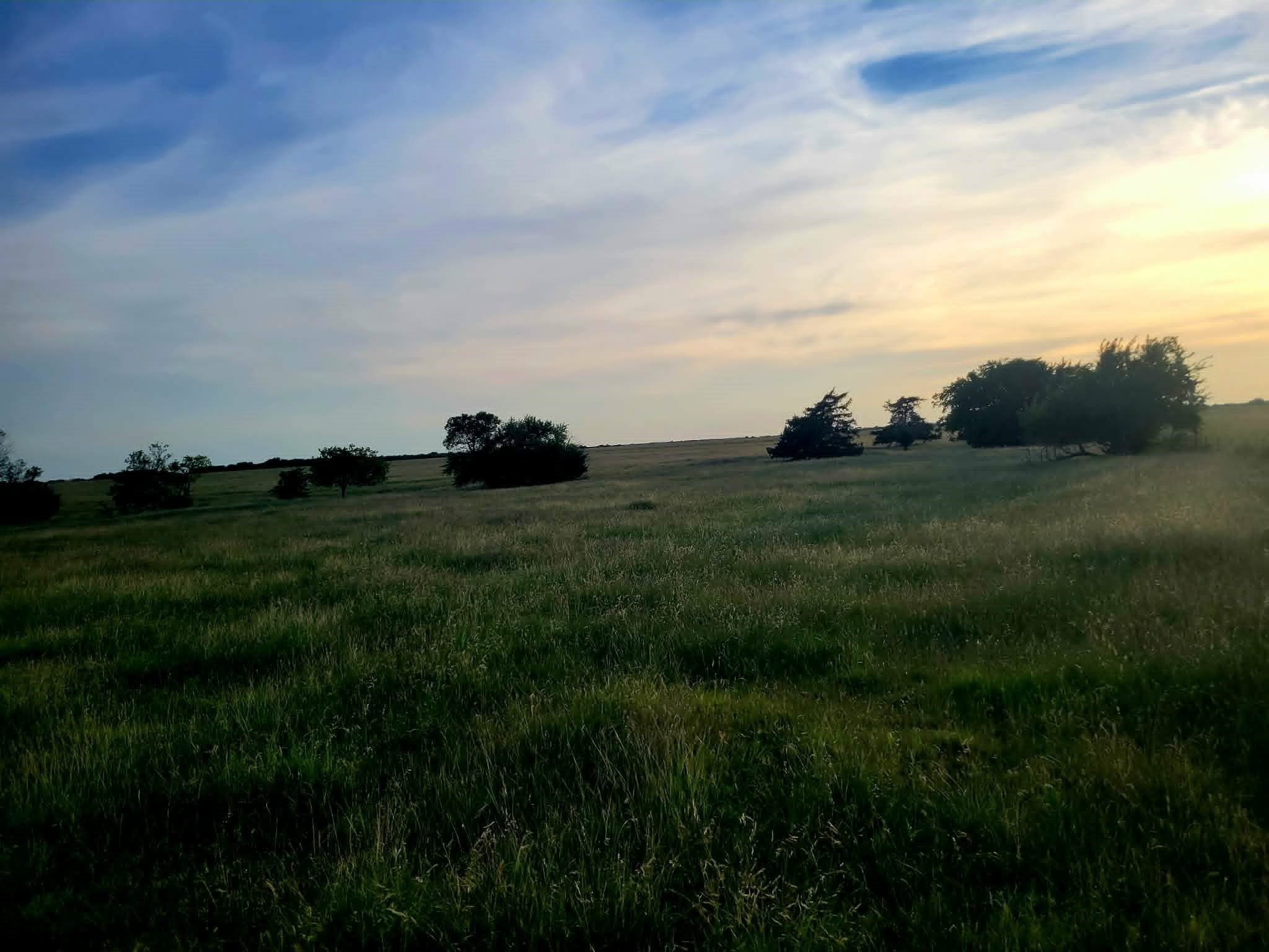 Tbd County Road 4720 Wolfe City TX 75496