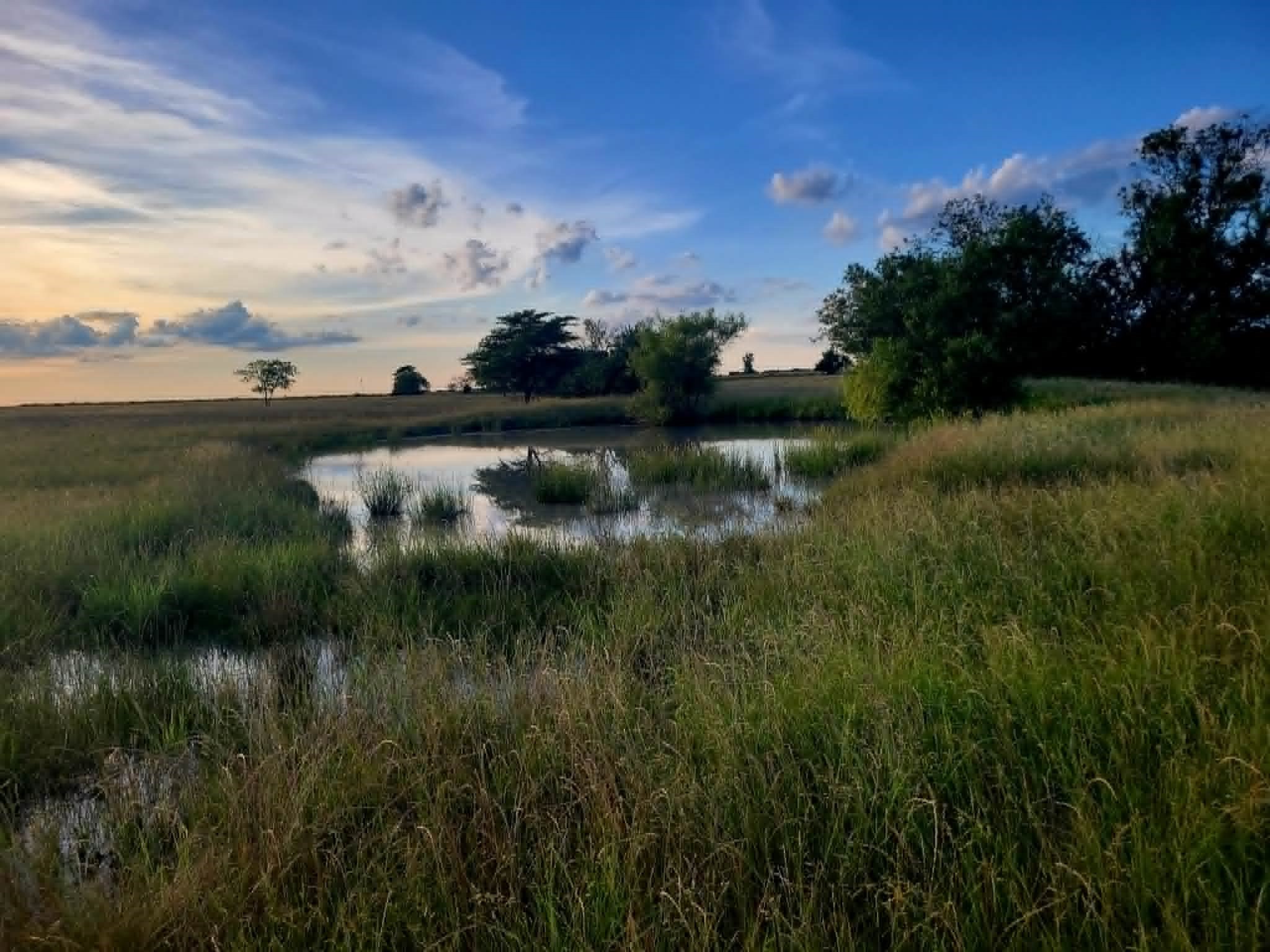 Tbd County Road 4720 Wolfe City TX 75496