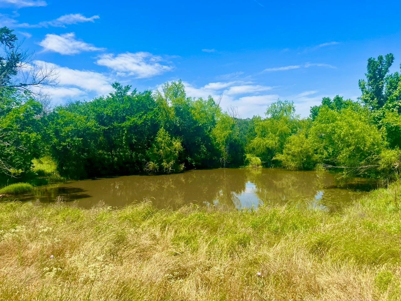 Lot 99 Arlow Road Poolville TX 76487
