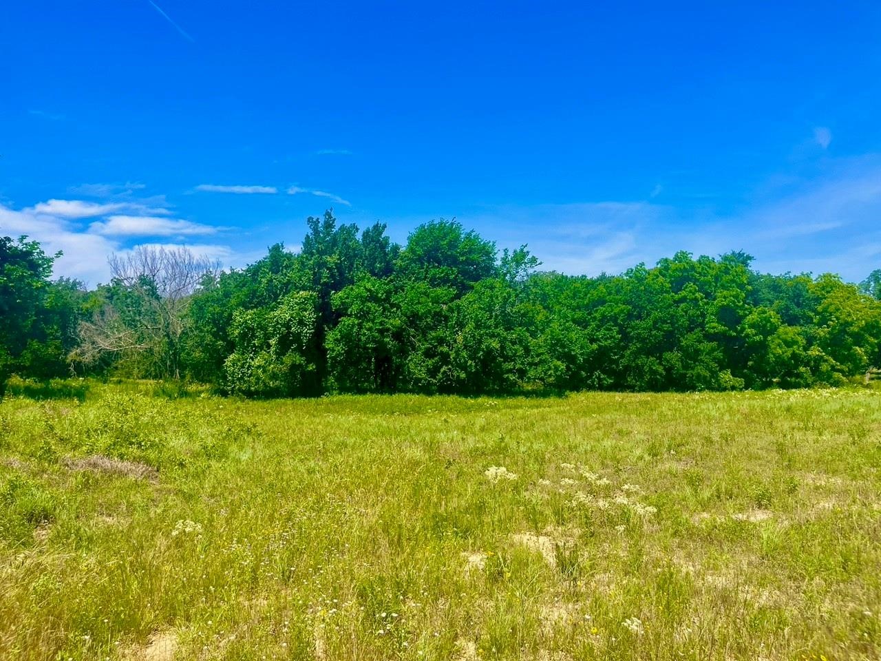 Lot 99 Arlow Road Poolville TX 76487