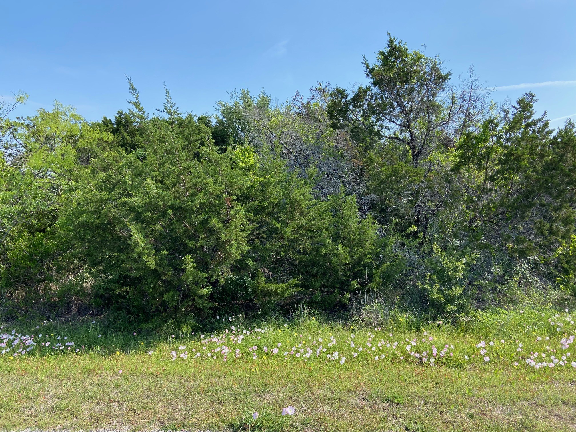 36064 Cedar Ridge Drive Whitney TX 76692