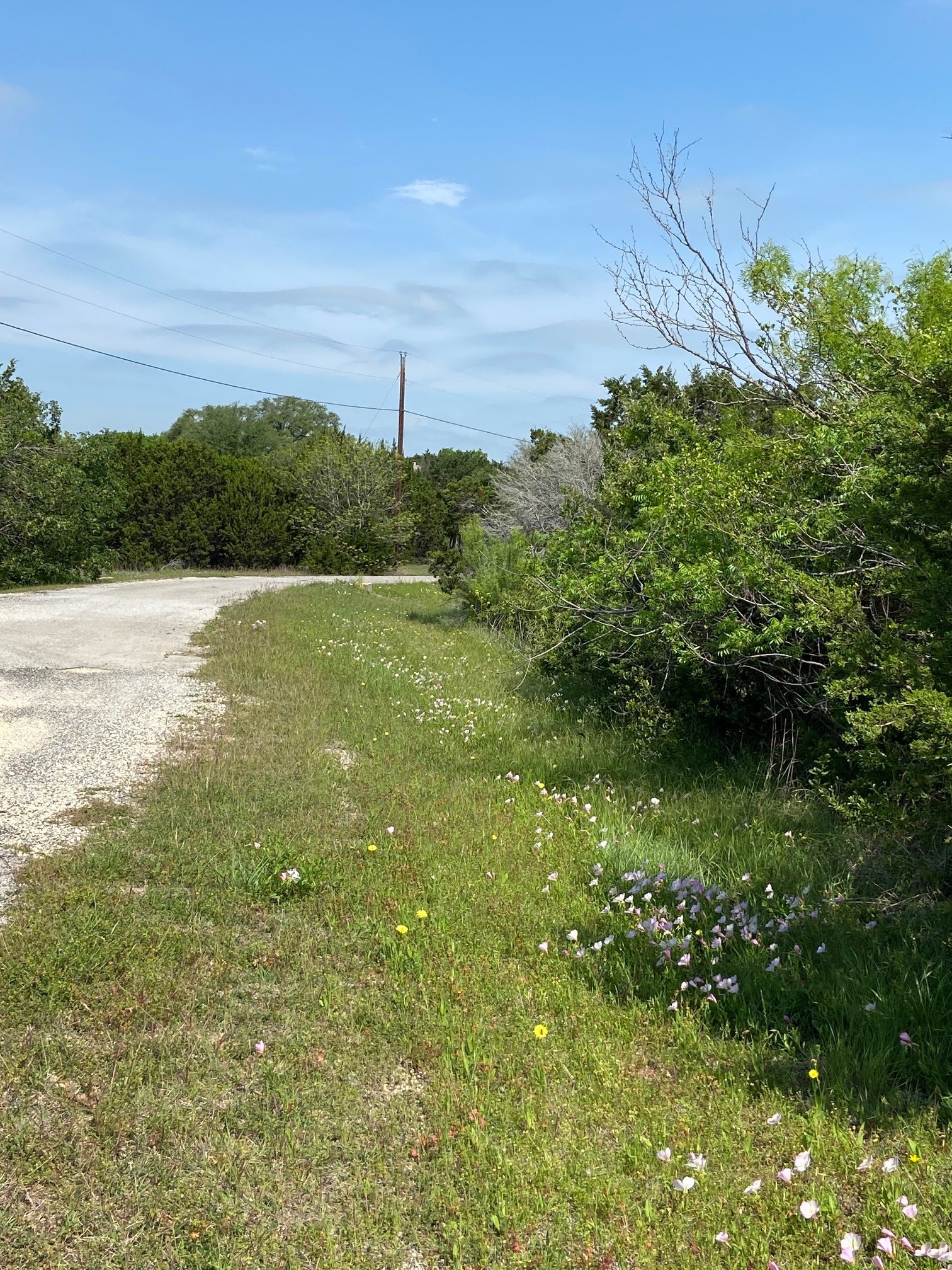 36064 Cedar Ridge Drive Whitney TX 76692