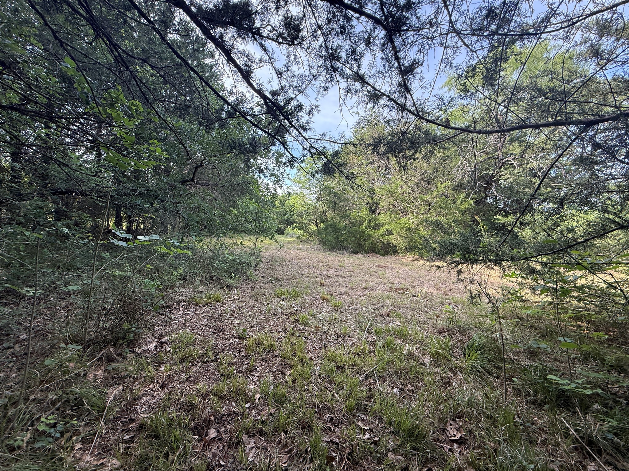 Lot 15r-2 Hout Bay Road Streetman TX 75859