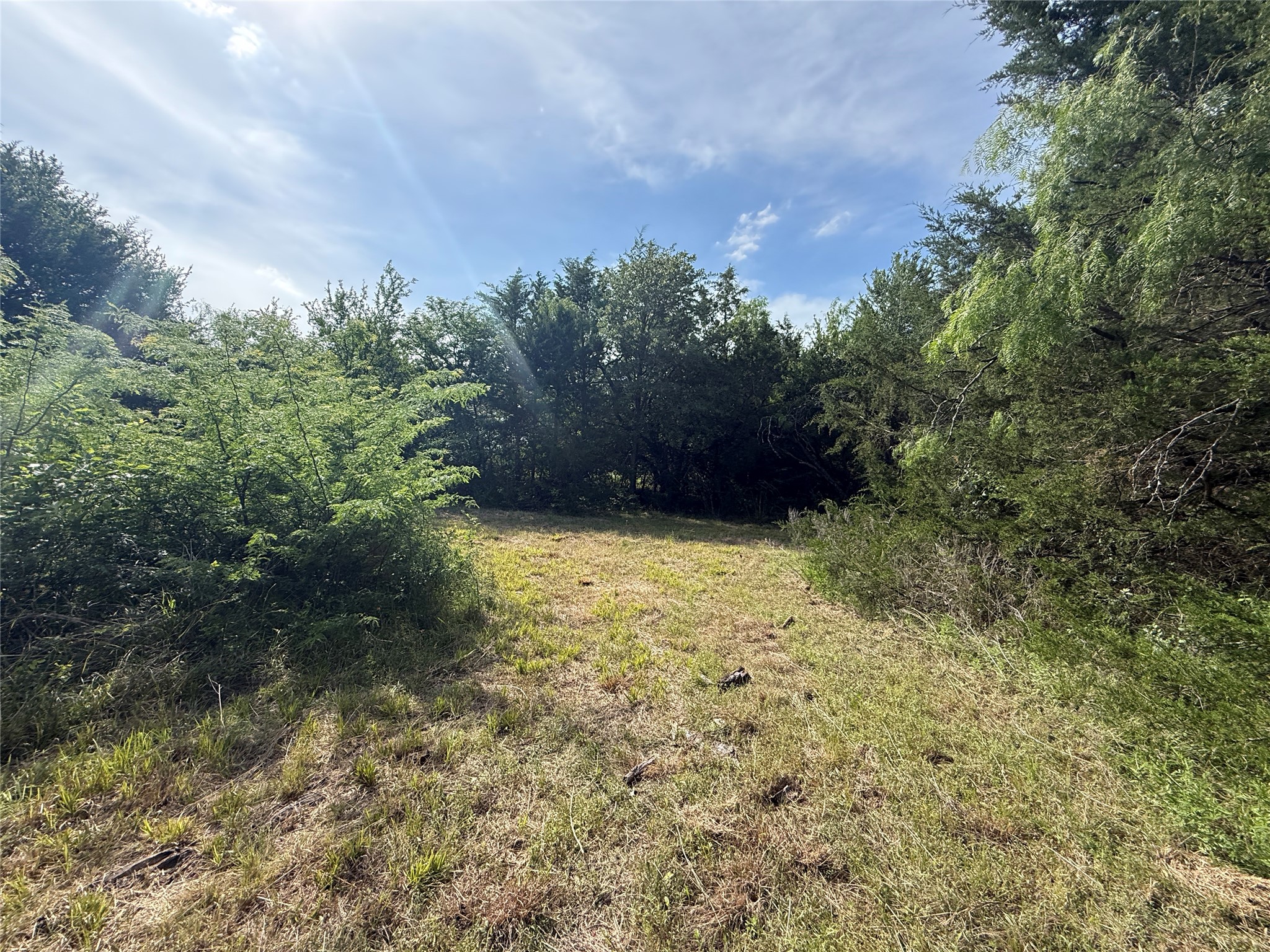 Lot 15r-2 Hout Bay Road Streetman TX 75859