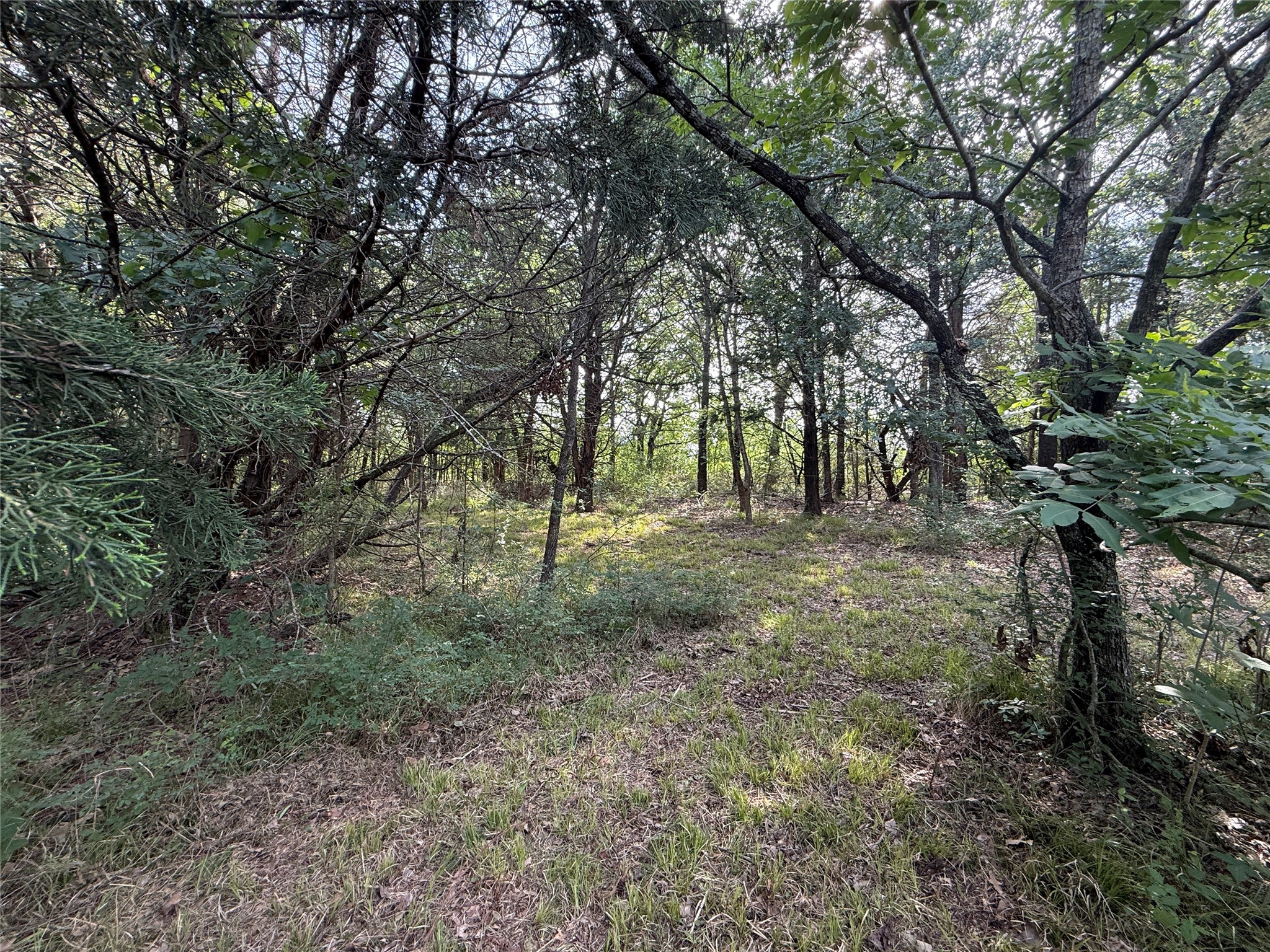 Lot 15r-2 Hout Bay Road Streetman TX 75859