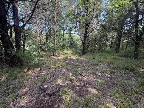 Lot 15r-2 Hout Bay Road Streetman TX 75859