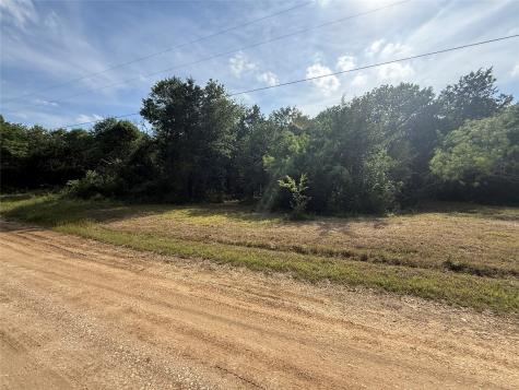 Lot 15r-2 Hout Bay Road Streetman TX 75859