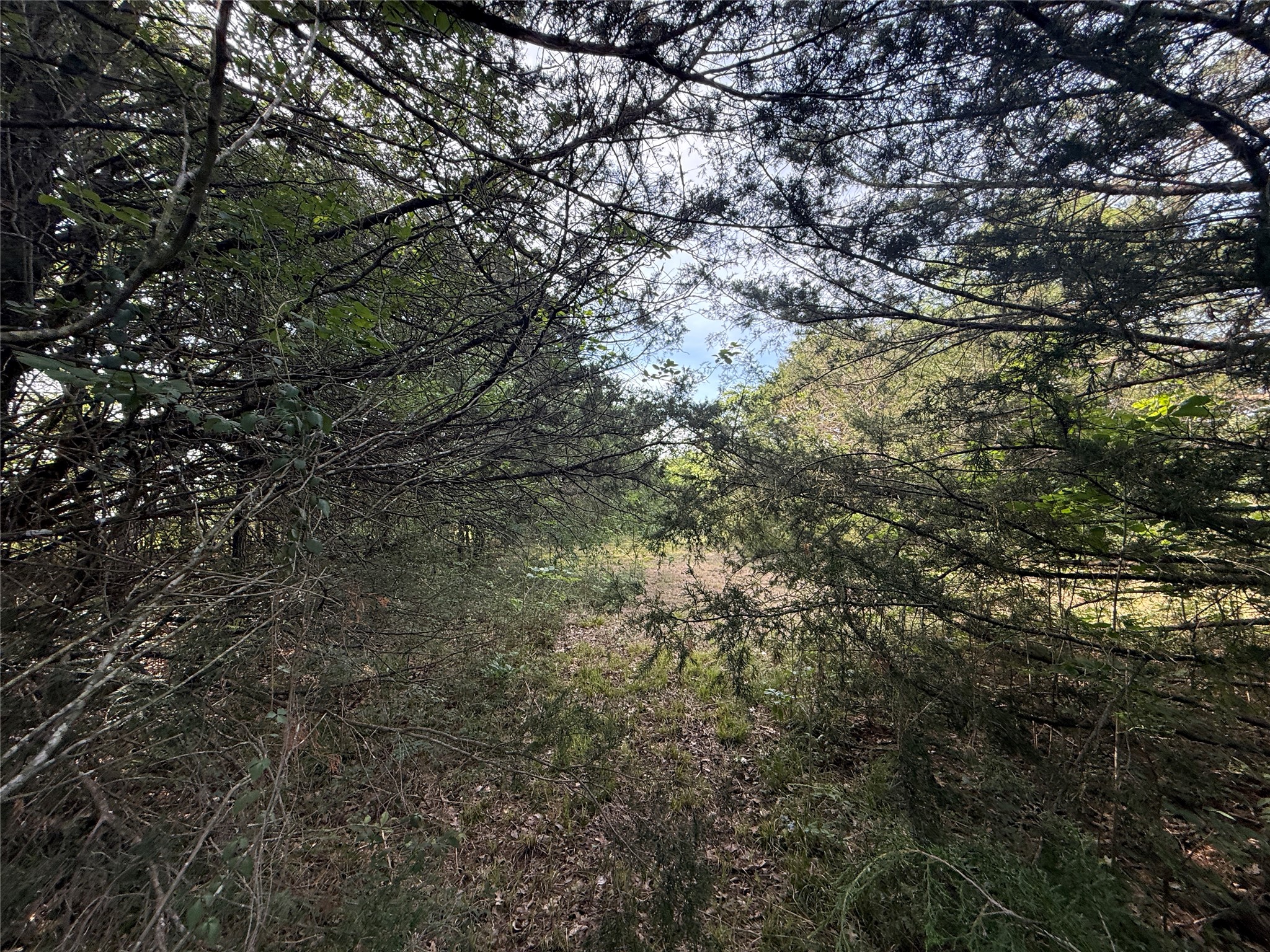 Lot 15r-2 Hout Bay Road Streetman TX 75859