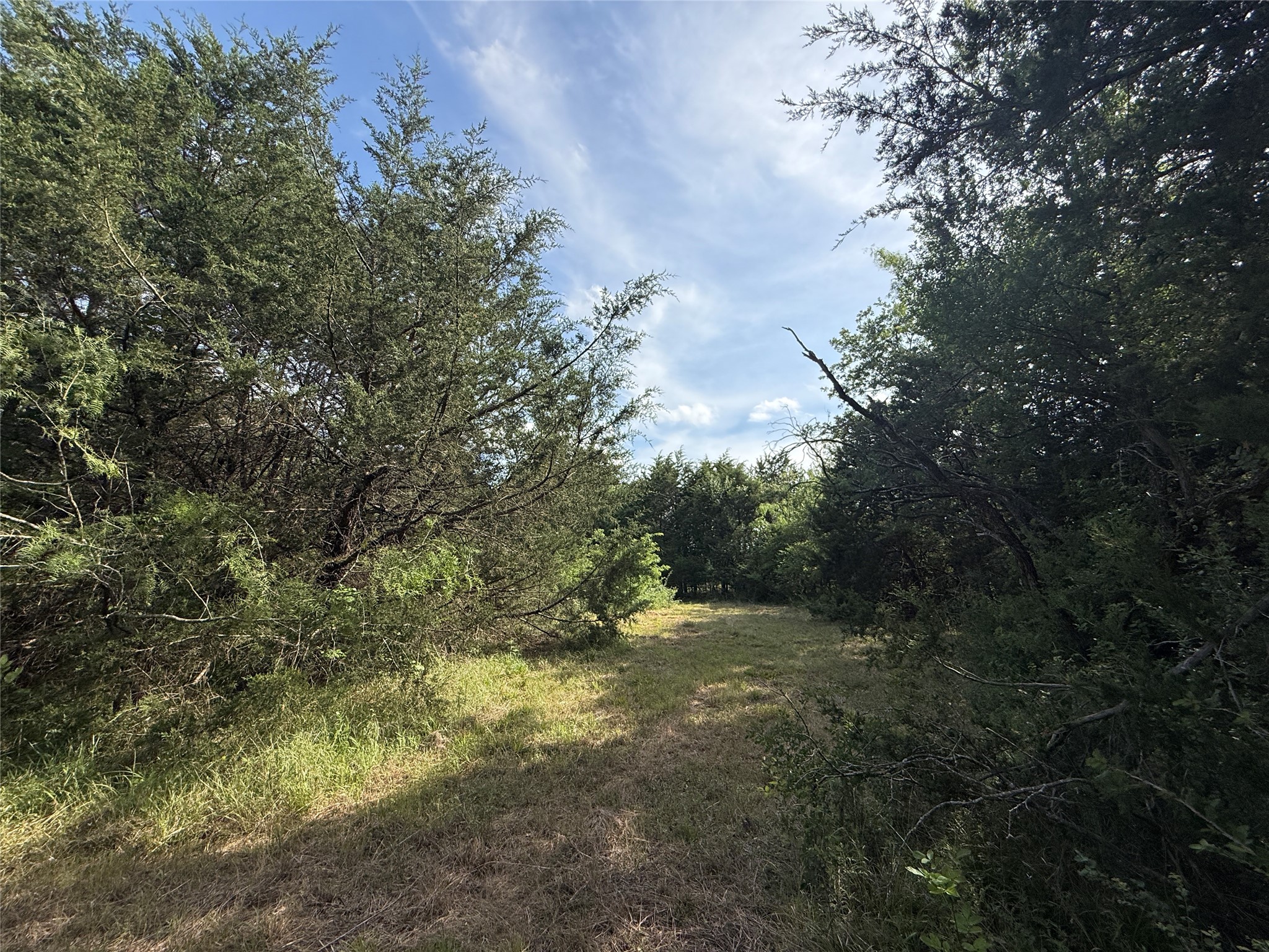 Lot 15r-2 Hout Bay Road Streetman TX 75859