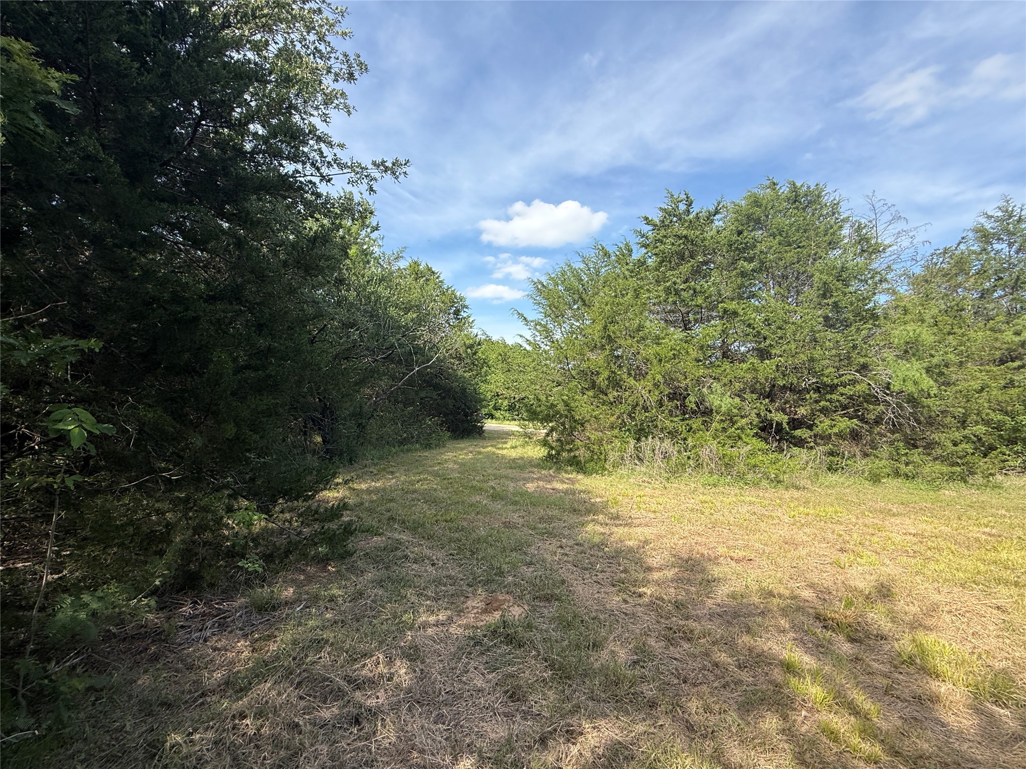Lot 15r-2 Hout Bay Road Streetman TX 75859