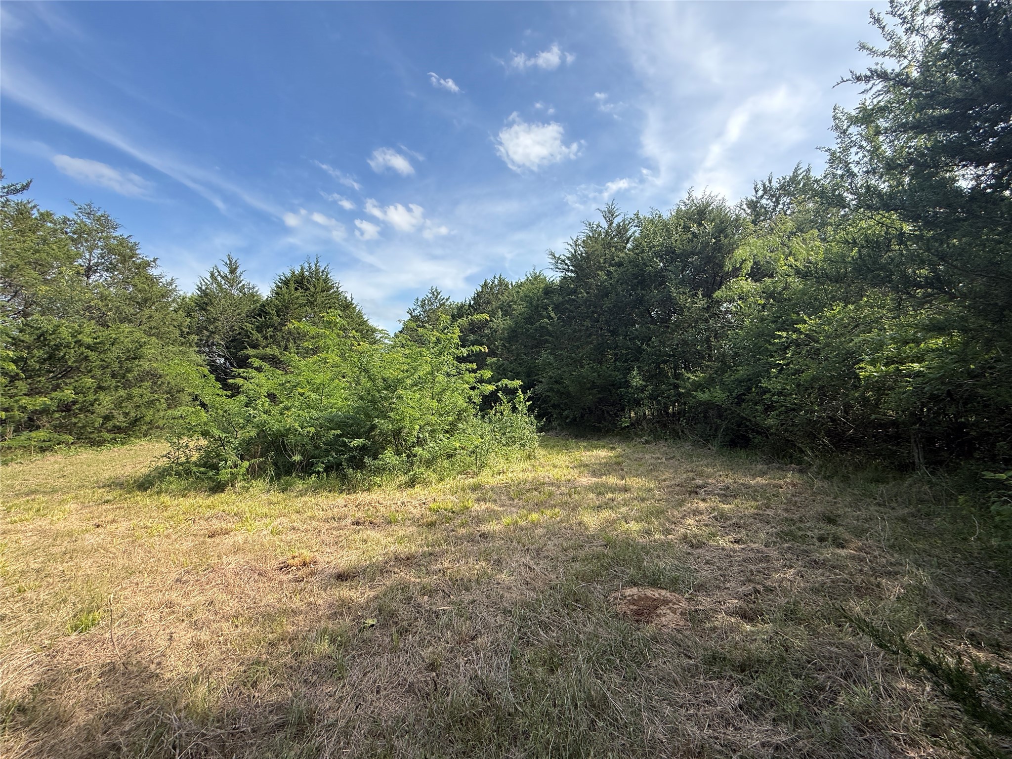 Lot 15r-2 Hout Bay Road Streetman TX 75859