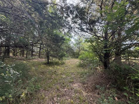 Lot 15r-2 Hout Bay Road Streetman TX 75859