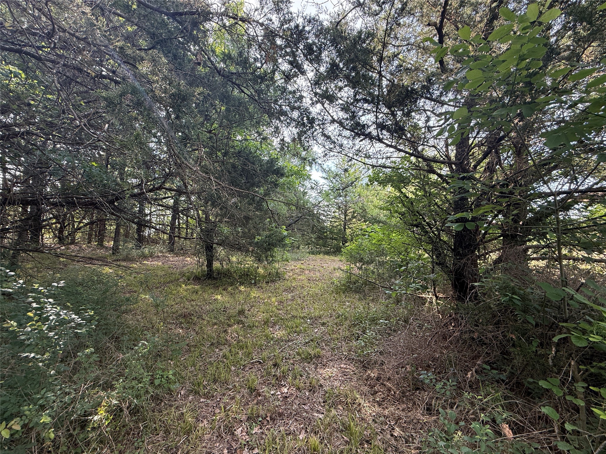 Lot 15r-2 Hout Bay Road Streetman TX 75859