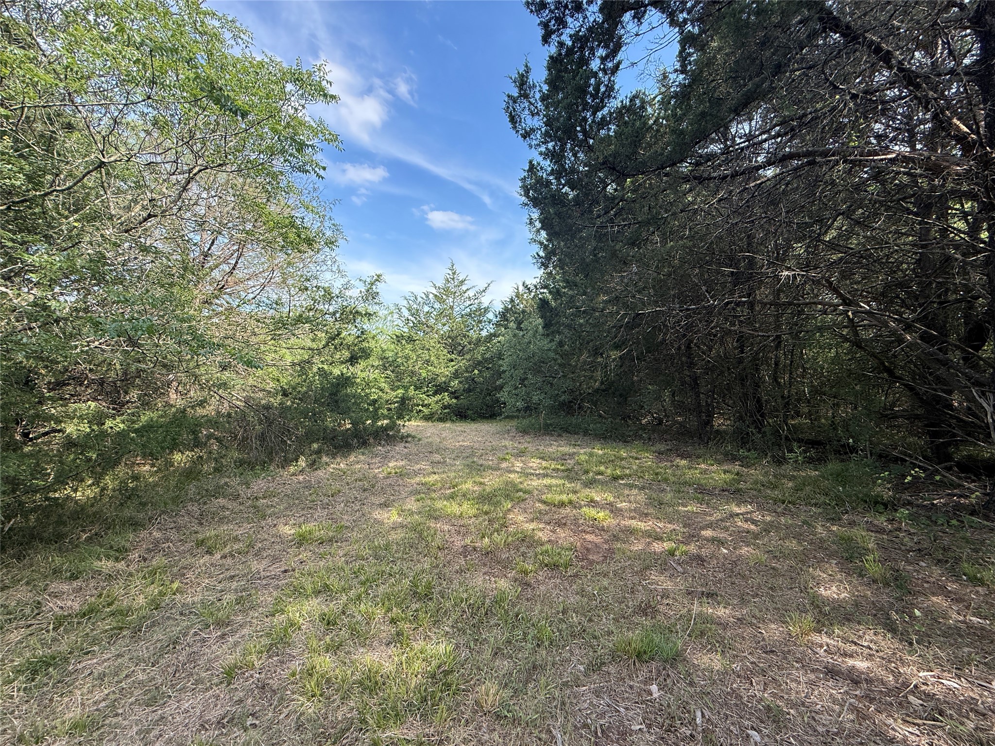 Lot 15r-2 Hout Bay Road Streetman TX 75859