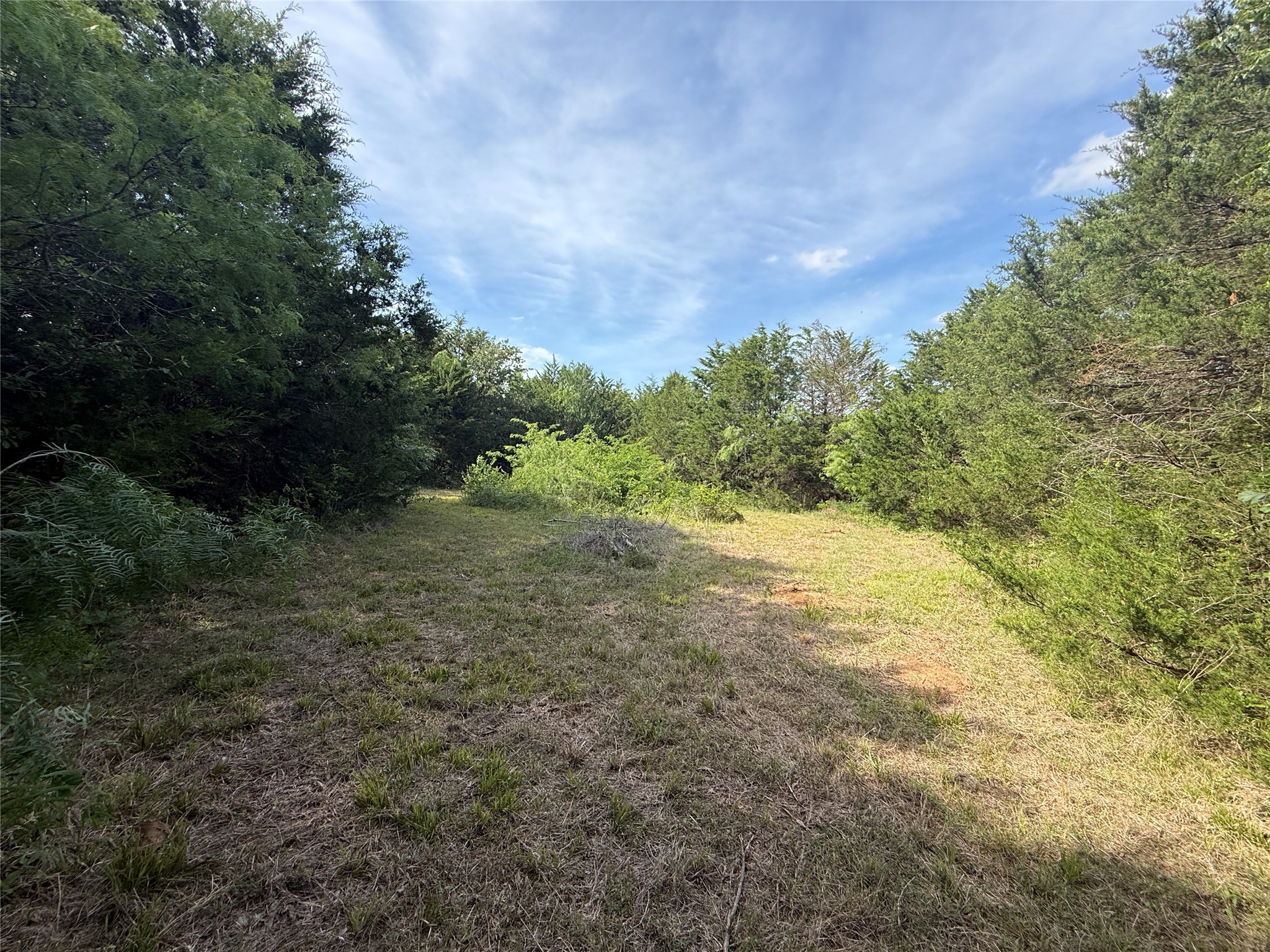 Lot 15r-2 Hout Bay Road Streetman TX 75859