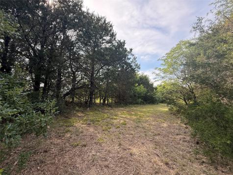 Lot 15r-2 Hout Bay Road Streetman TX 75859