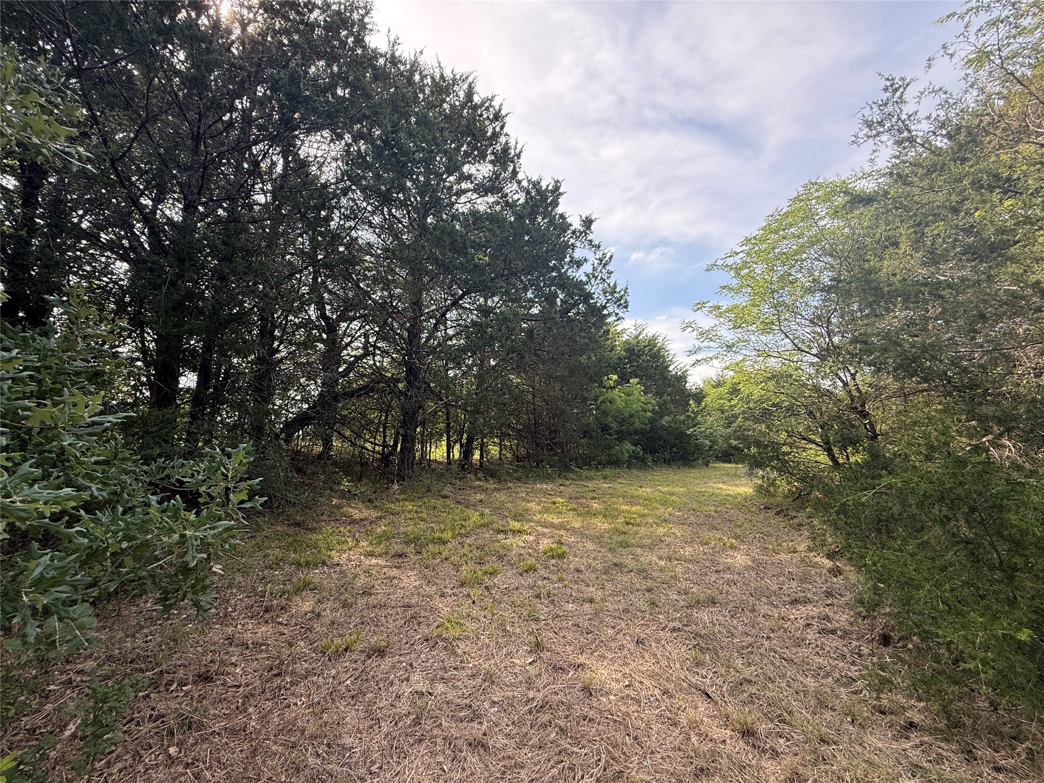 Lot 15r-2 Hout Bay Road Streetman TX 75859