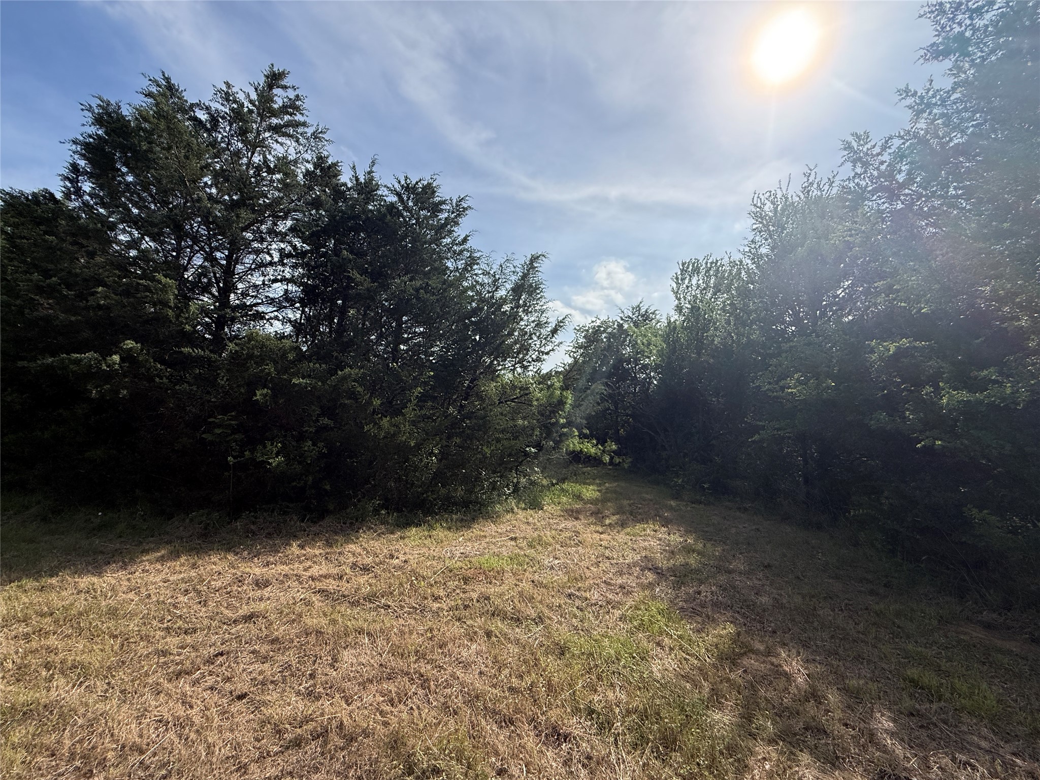 Lot 15r-2 Hout Bay Road Streetman TX 75859