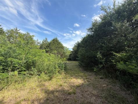 Lot 15r-2 Hout Bay Road Streetman TX 75859