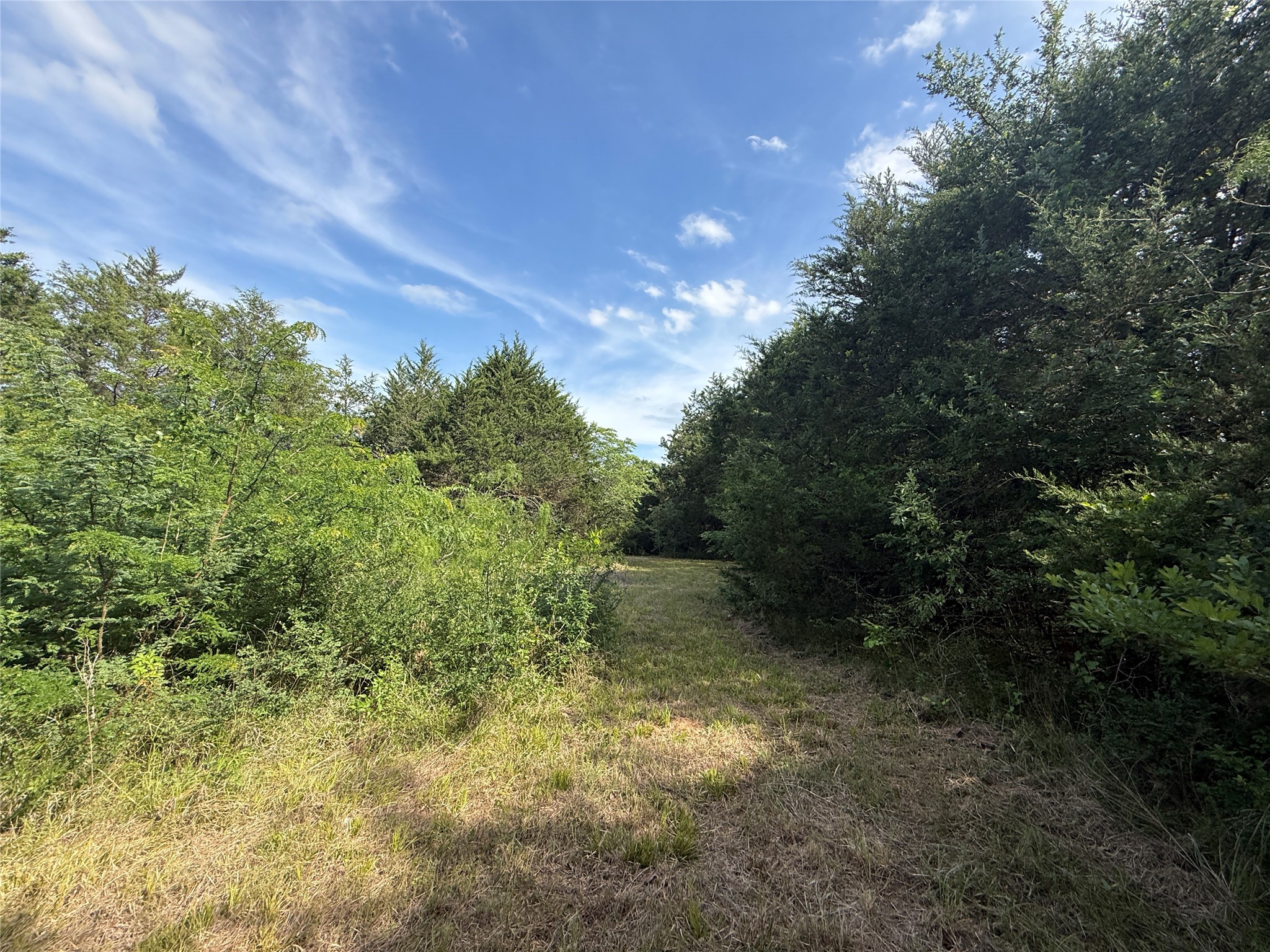 Lot 15r-2 Hout Bay Road Streetman TX 75859