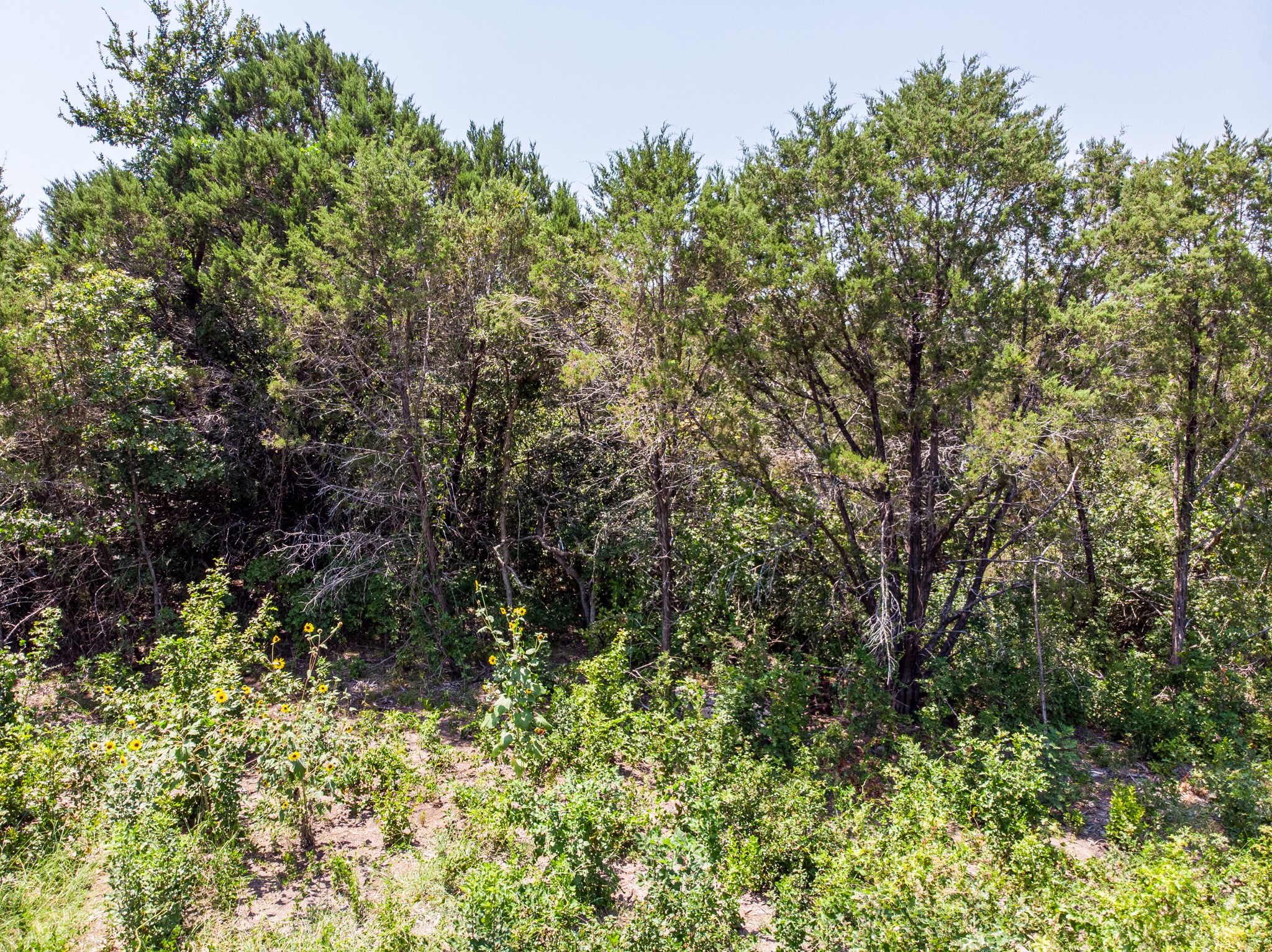 2612 Orion Way Granbury TX 76048