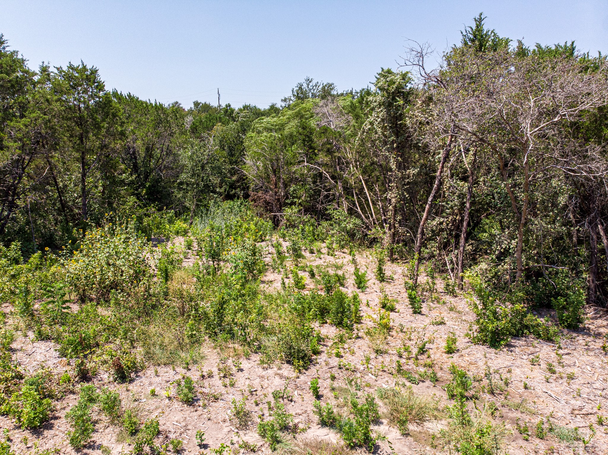 2612 Orion Way Granbury TX 76048