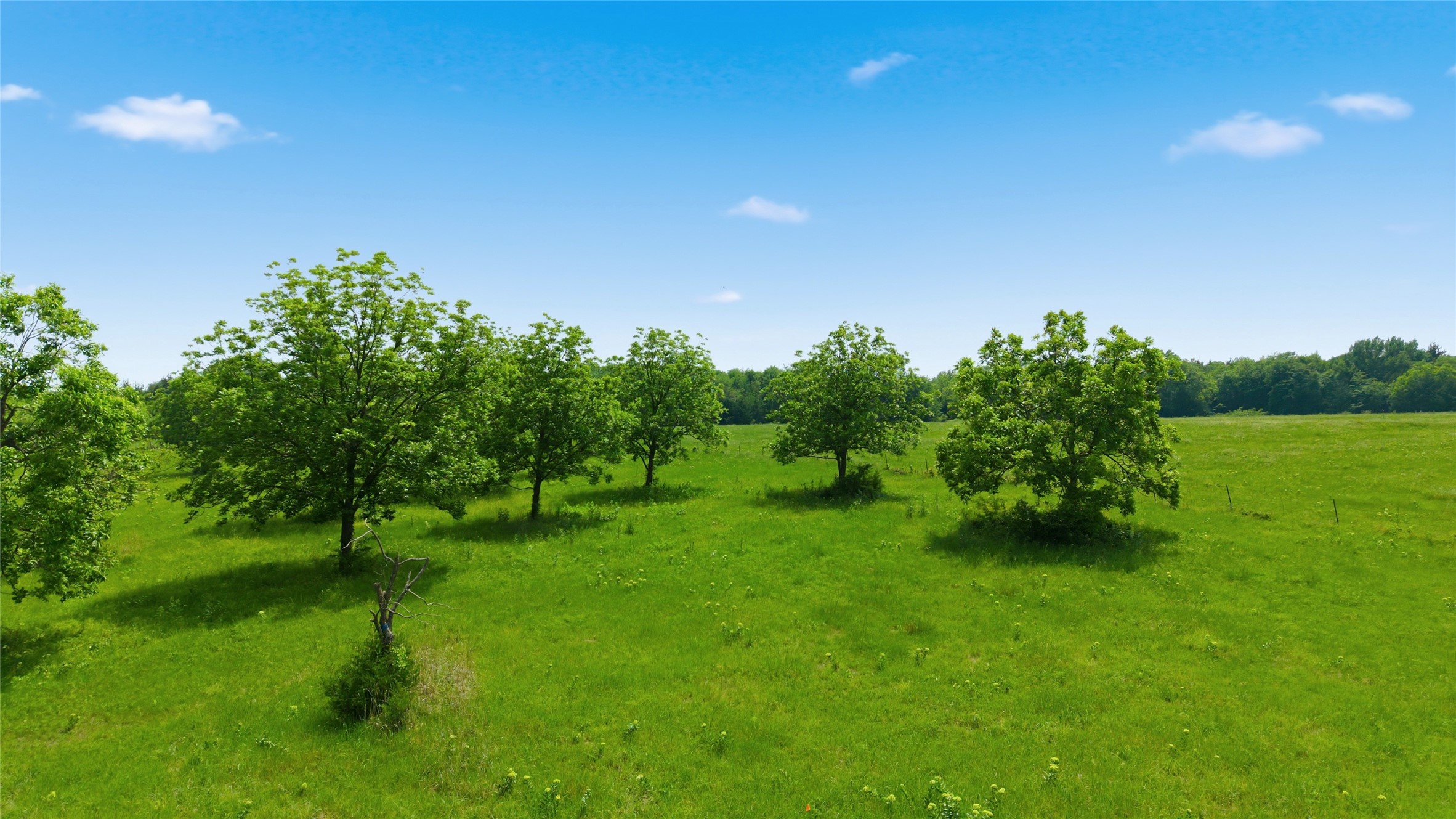 Lot 3 County Road 3430 Lone Oak TX 75453