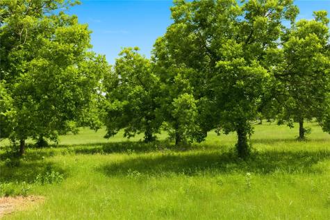 Lot 3 County Road 3430 Lone Oak TX 75453
