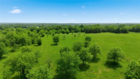 Lot 3 County Road 3430 Lone Oak TX 75453
