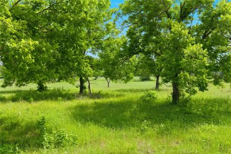 Lot 3 County Road 3430 Lone Oak TX 75453